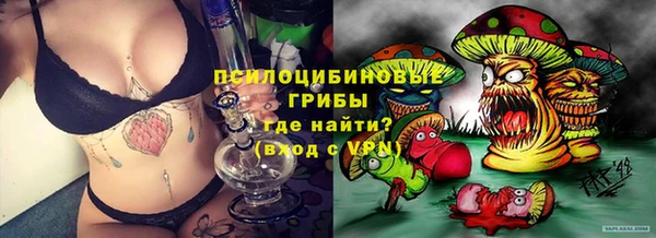 прущие крисы Армянск