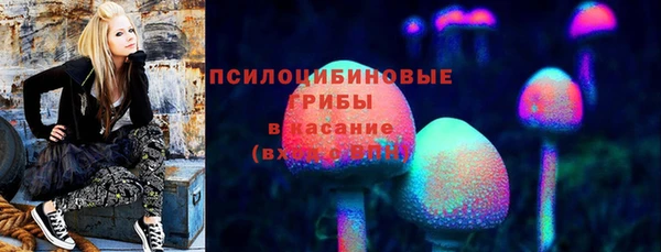кристаллы Снежногорск