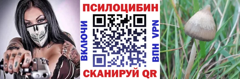 Галлюциногенные грибы мицелий  Новоульяновск 